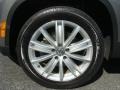 2009 Alpine Grey Metallic Volkswagen Tiguan SEL 4Motion  photo #15
