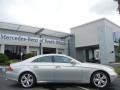 Iridium Silver Metallic - CLS 550 Photo No. 1