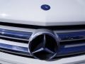 Arctic White - GL 450 4Matic Photo No. 7