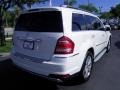 Arctic White - GL 450 4Matic Photo No. 20