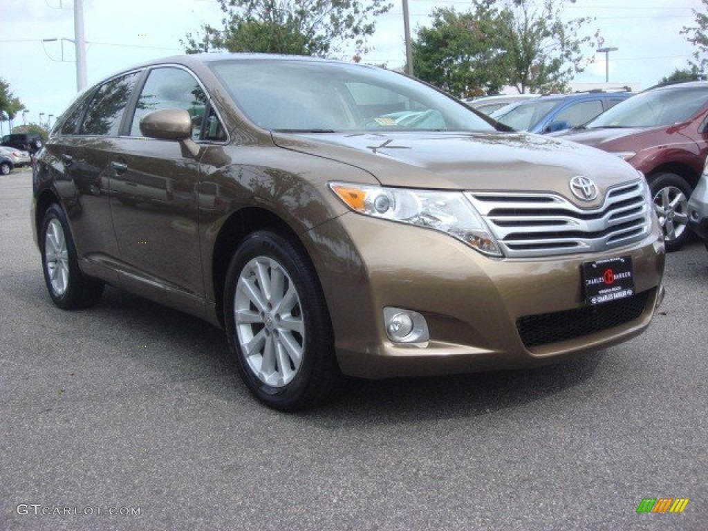 Sunset Bronze Mica Toyota Venza