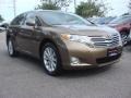 2010 Sunset Bronze Mica Toyota Venza I4  photo #1