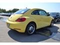 Yellow Rush - Beetle 2.5L Photo No. 2