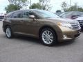 2010 Sunset Bronze Mica Toyota Venza I4  photo #2