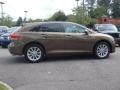 2010 Sunset Bronze Mica Toyota Venza I4  photo #3