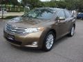 2010 Sunset Bronze Mica Toyota Venza I4  photo #7