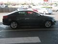 Platinum Graphite - Optima EX Photo No. 6