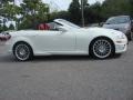 Arctic White - SLK 300 Roadster Photo No. 3
