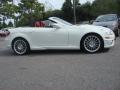 2010 Arctic White Mercedes-Benz SLK 300 Roadster  photo #3