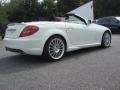 2010 Arctic White Mercedes-Benz SLK 300 Roadster  photo #4