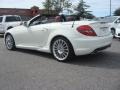 2010 Arctic White Mercedes-Benz SLK 300 Roadster  photo #6