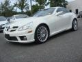 2010 Arctic White Mercedes-Benz SLK 300 Roadster  photo #29