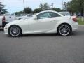 Arctic White - SLK 300 Roadster Photo No. 30