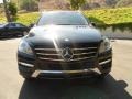 Black - ML 350 4Matic Photo No. 2