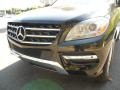 Black - ML 350 4Matic Photo No. 5