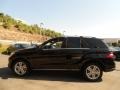 Black - ML 350 4Matic Photo No. 11