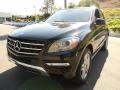 Black - ML 350 4Matic Photo No. 12