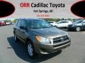 Pyrite Metallic - RAV4 I4 Photo No. 1