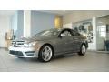 Palladium Silver Metallic 2013 Mercedes-Benz C 250 Coupe