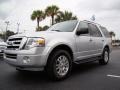 Ingot Silver Metallic - Expedition XLT Photo No. 4