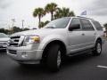 2012 Ingot Silver Metallic Ford Expedition XLT  photo #28