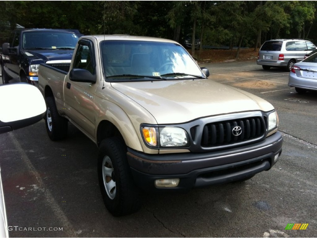 2004 Tacoma Regular Cab 4x4 - Mystic Gold Metallic / Oak photo #1