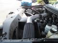 2005 Black Ford F150 XLT SuperCrew 4x4  photo #4