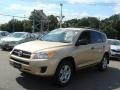 Sandy Beach Metallic - RAV4 4WD Photo No. 3
