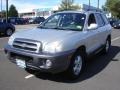 2005 Pewter Gray Hyundai Santa Fe GLS 4WD #71131893