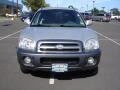 Pewter Gray - Santa Fe GLS 4WD Photo No. 2