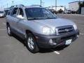 Pewter Gray - Santa Fe GLS 4WD Photo No. 3