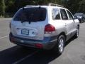 Pewter Gray - Santa Fe GLS 4WD Photo No. 4