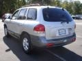 Pewter Gray - Santa Fe GLS 4WD Photo No. 6