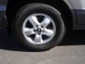 Pewter Gray - Santa Fe GLS 4WD Photo No. 8