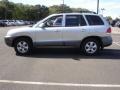 Pewter Gray - Santa Fe GLS 4WD Photo No. 9