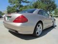 Desert Silver Metallic - SL 500 Roadster Photo No. 10