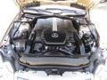 Desert Silver Metallic - SL 500 Roadster Photo No. 38