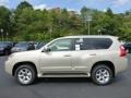 Satin Cashmere Metallic 2013 Lexus GX 460 Exterior
