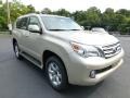 Satin Cashmere Metallic 2013 Lexus GX 460 Exterior