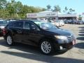 Black 2009 Toyota Venza AWD