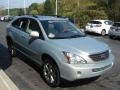 Bamboo Pearl - RX 400h AWD Hybrid Photo No. 4