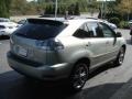 Bamboo Pearl - RX 400h AWD Hybrid Photo No. 5