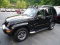 Black Clearcoat 2003 Jeep Liberty Renegade 4x4 Exterior