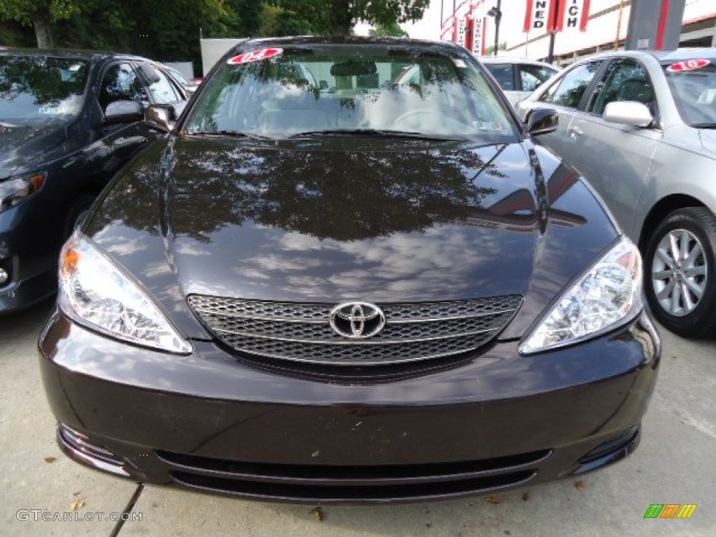 2004 Camry LE - Black Walnut Pearl / Stone photo #19
