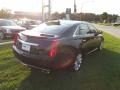 Black Raven - XTS Premium FWD Photo No. 3