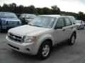 2008 Light Sage Metallic Ford Escape XLS 4WD  photo #4