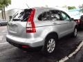 2009 Alabaster Silver Metallic Honda CR-V EX-L  photo #4