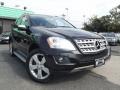 Black - ML 350 4Matic Photo No. 2