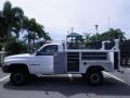 1996 Stone White Dodge Ram 2500 LT Regular Cab 4x4 Utility Truck  photo #13