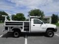 1996 Stone White Dodge Ram 2500 LT Regular Cab 4x4 Utility Truck  photo #16